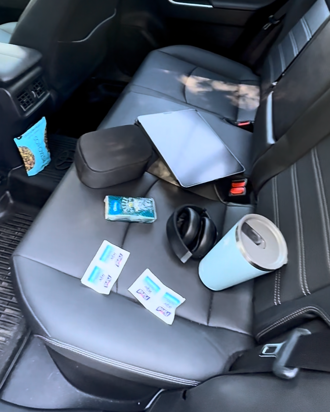 Premium Backseat Organizer with Fold-Down Tray